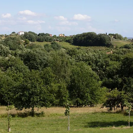 Colle Del Sole With Swimming Pool Porcari